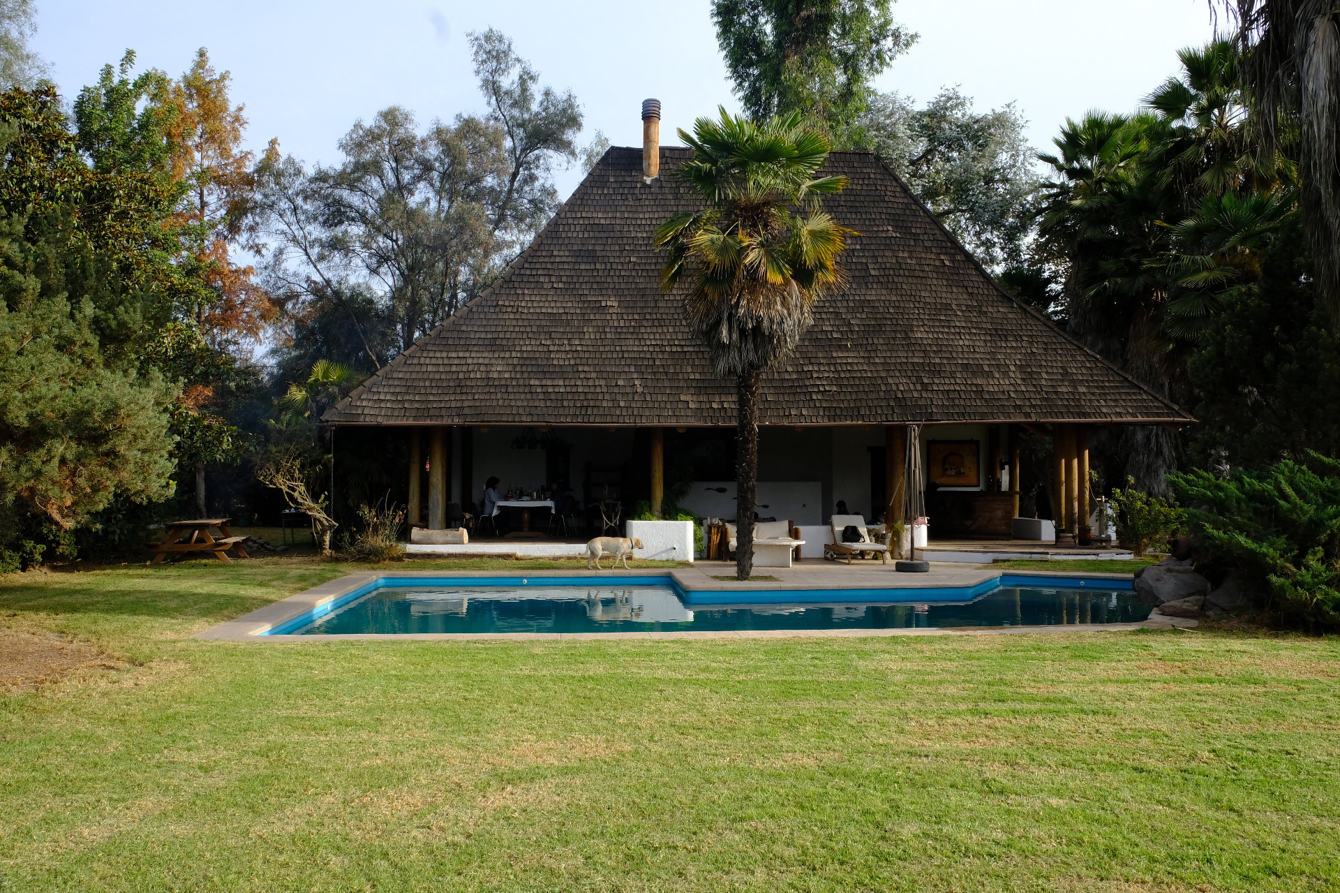 Quincho y piscina de Casaquince rodeados de palmeras