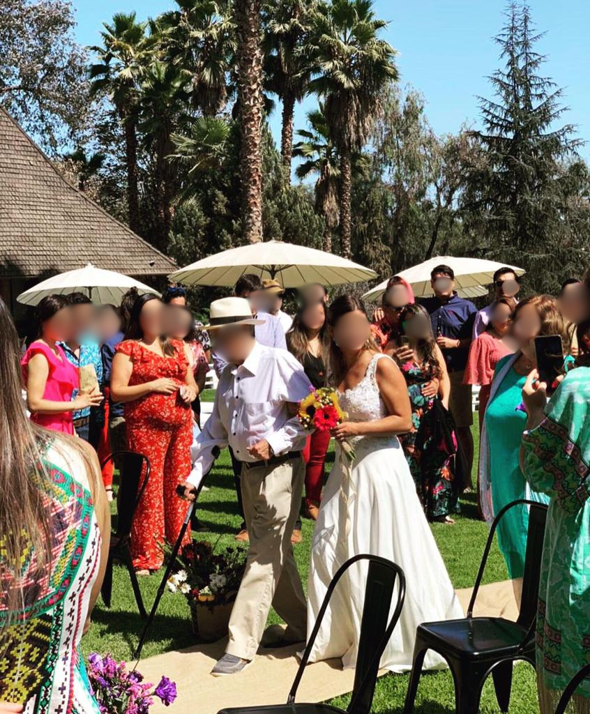 Ceremonia de matrimonio bajo las palmeras