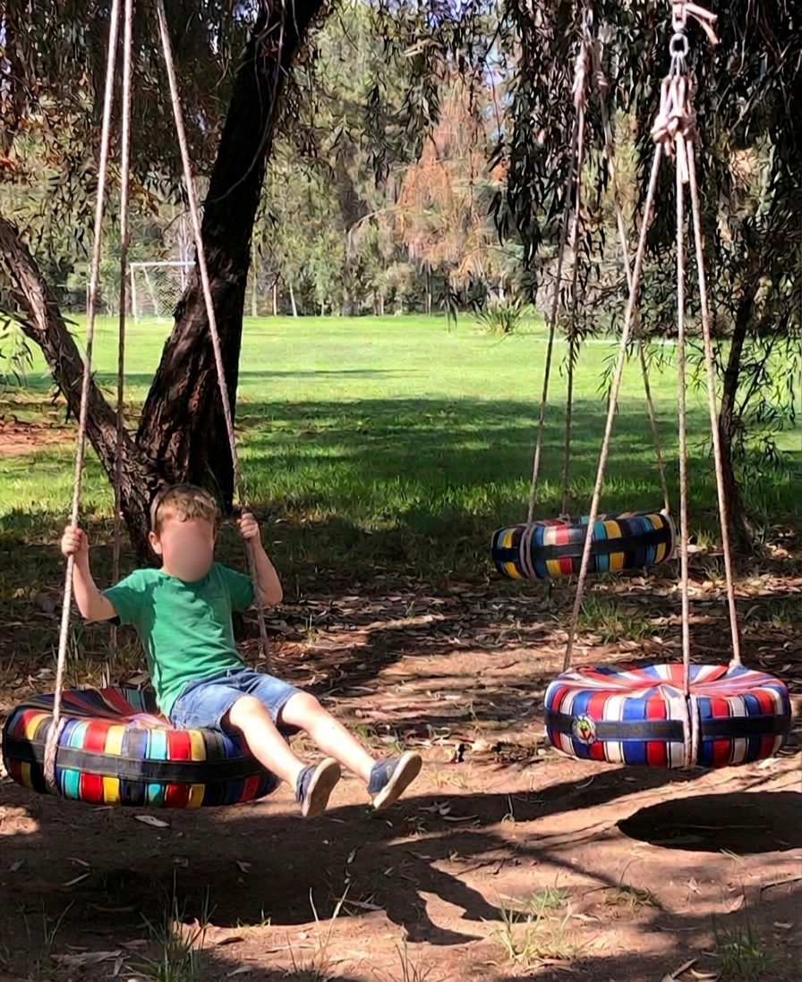 Niño en columpios de neumáticos bajo los árboles