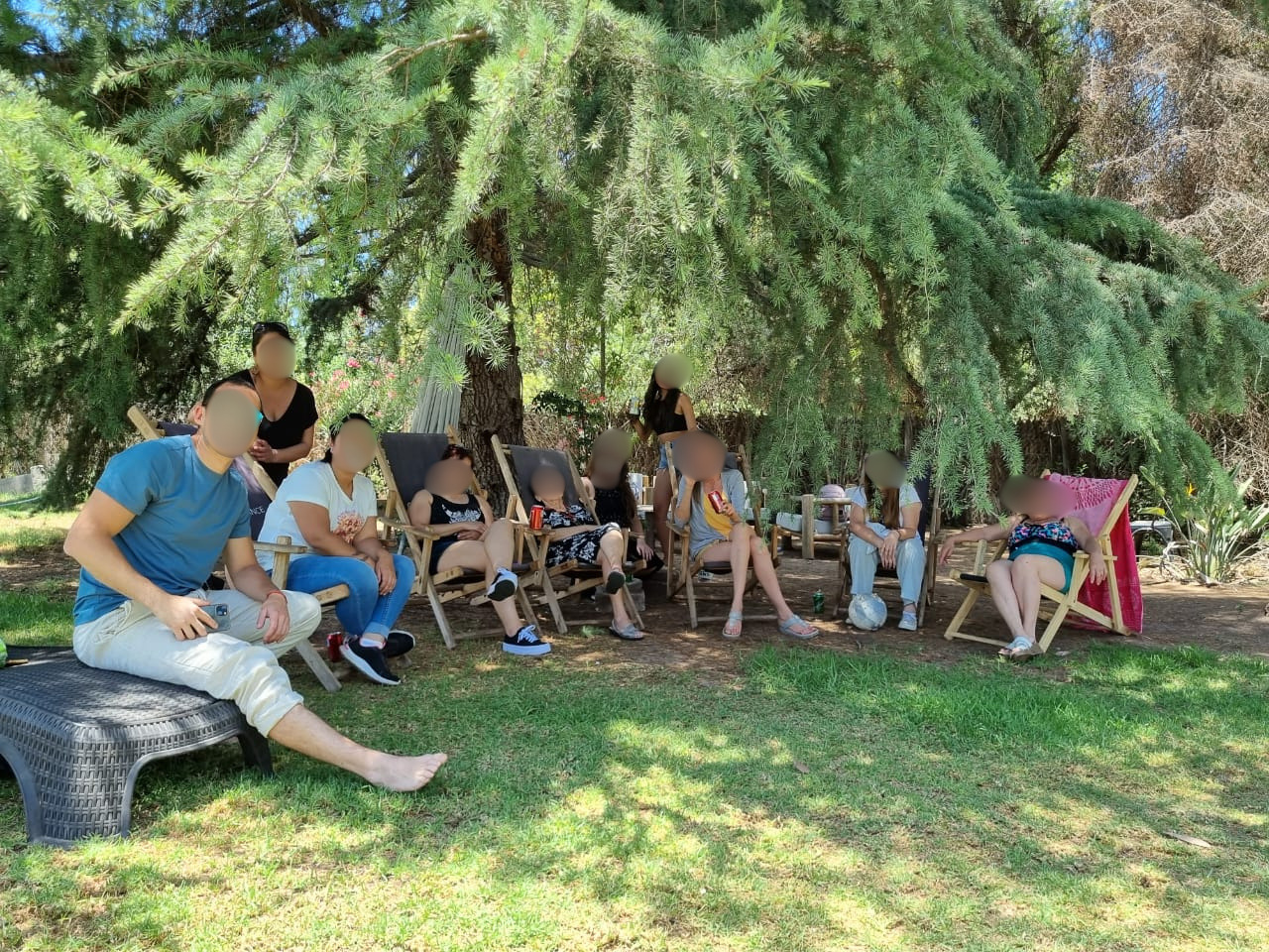 Colaboradores relajándose en reposeras bajo los árboles